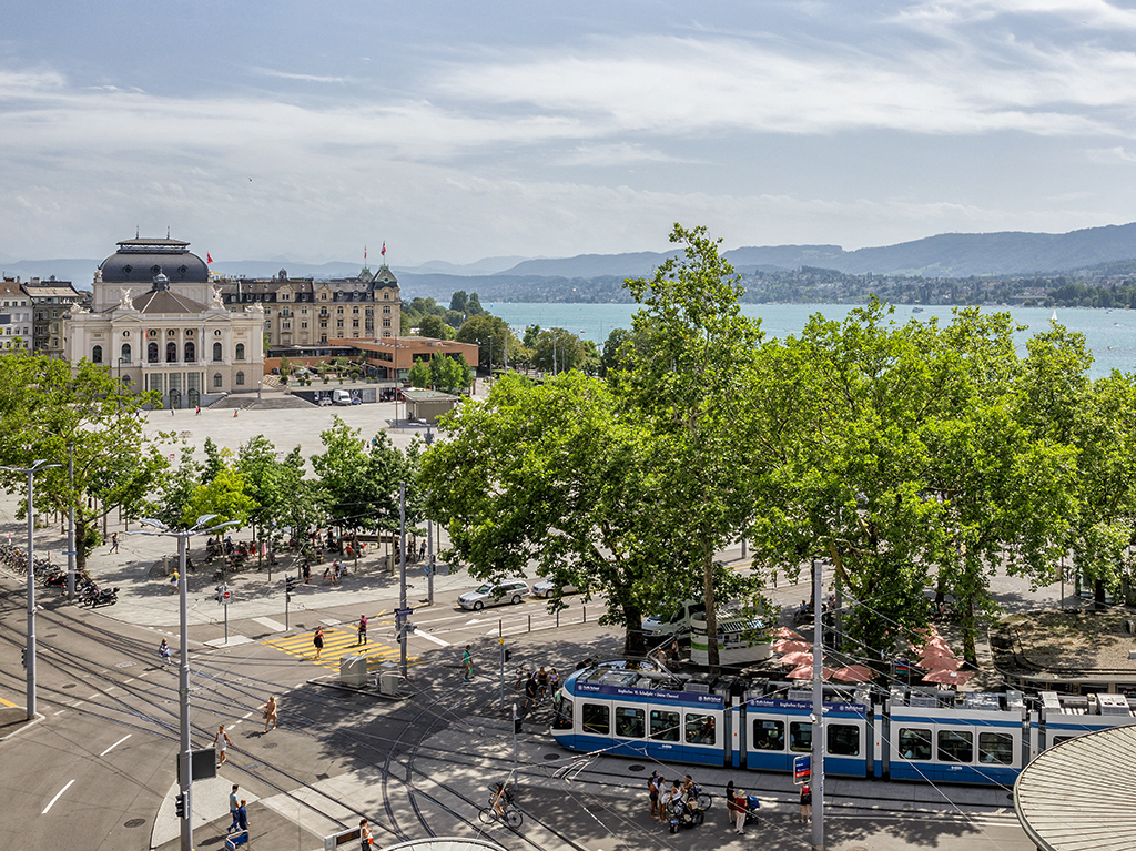 sternlaw_dienstleistungen